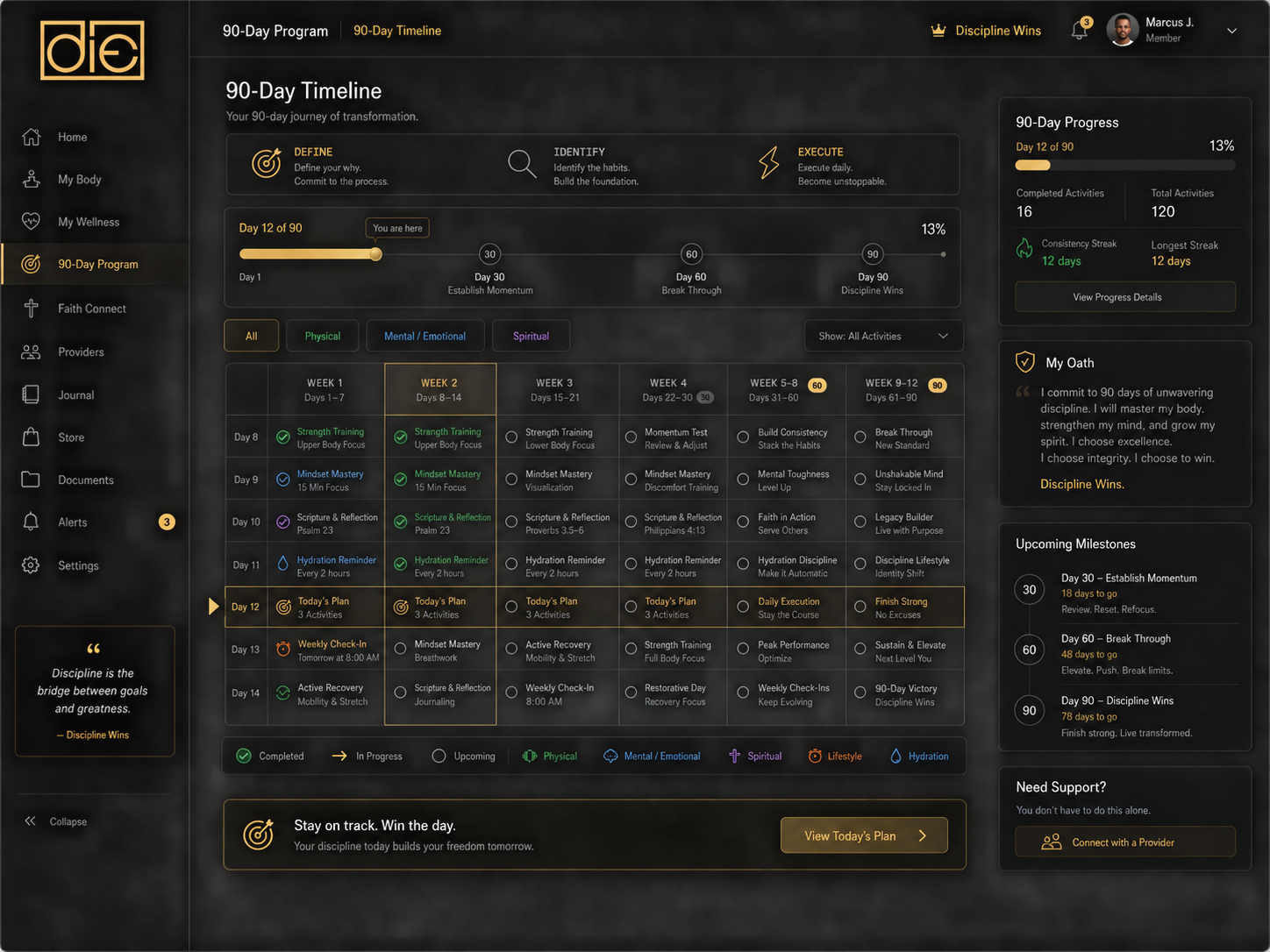 90-Day Plan D.I.E. dashboard preview